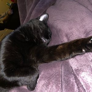 Meet your Posher, Andrea